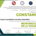 Ampliar imagen: certificate 5