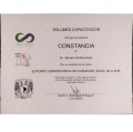 Ampliar imagen: certificate 2
