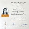 Ampliar imagen: certificate 1