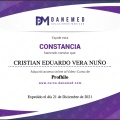 Ampliar imagen: certificate 12