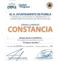 Ampliar imagen: certificate 22