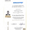 Ampliar imagen: certificate 2