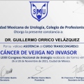 Ampliar imagen: certificate 12