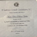 Ampliar imagen: certificate 2