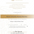 Ampliar imagen: certificate 2