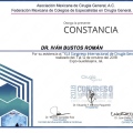 Ampliar imagen: certificate 28
