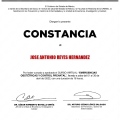 Ampliar imagen: certificate 7