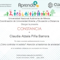 Ampliar imagen: certificate 4