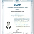 Ampliar imagen: certificate 2