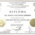 Ampliar imagen: certificate 28