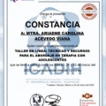 Ampliar imagen: certificate 2