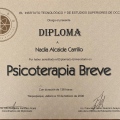 Ampliar imagen: certificate 9