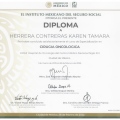 Ampliar imagen: certificate 2