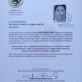 Ampliar imagen: certificate 7
