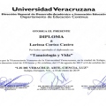 Ampliar imagen: certificate 4