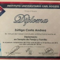 Ampliar imagen: certificate 3