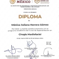 Ampliar imagen: certificate 3