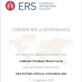 Ampliar imagen: certificate 8