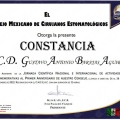 Ampliar imagen: certificate 9