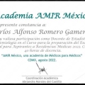 Ampliar imagen: certificate 8