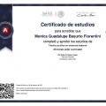 Ampliar imagen: certificate 6