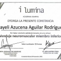 Ampliar imagen: certificate 5