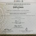 Ampliar imagen: certificate 5