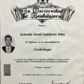 Ampliar imagen: certificate 3