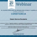 Ampliar imagen: certificate 2