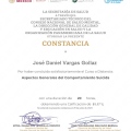 Ampliar imagen: certificate 13