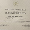 Ampliar imagen: certificate 4