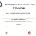 Ampliar imagen: certificate 40