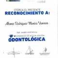 Ampliar imagen: certificate 3