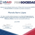 Ampliar imagen: certificate 4
