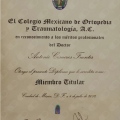 Ampliar imagen: certificate 11
