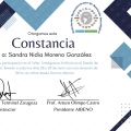 Ampliar imagen: certificate 4