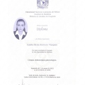 Ampliar imagen: certificate 3
