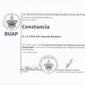 Ampliar imagen: certificate 3
