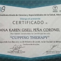 Ampliar imagen: certificate 3