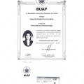 Ampliar imagen: certificate 3