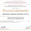 Ampliar imagen: certificate 7