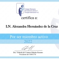 Ampliar imagen: certificate 2