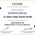 Ampliar imagen: certificate 2