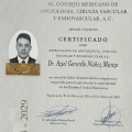 Ampliar imagen: certificate 4