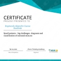 Ampliar imagen: certificate 11