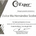 Ampliar imagen: certificate 1