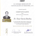 Ampliar imagen: certificate 4