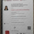 Ampliar imagen: certificate 3