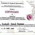 Ampliar imagen: certificate 2
