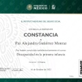 Ampliar imagen: certificate 14